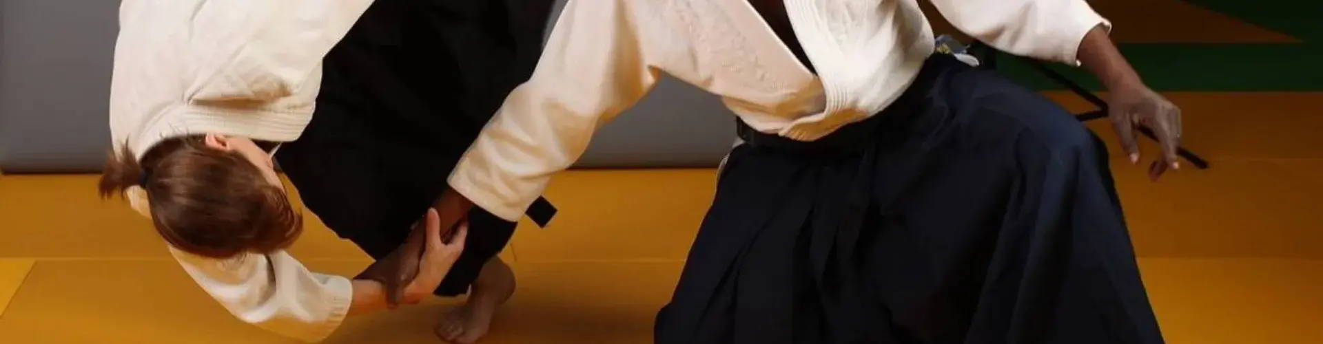 Aikido2