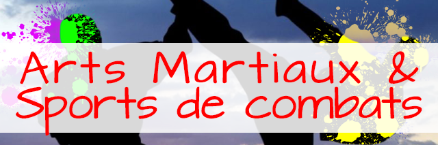 Arts martiaux2