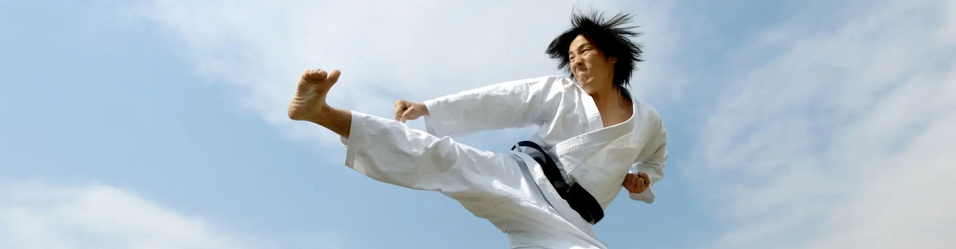 Kungfu2