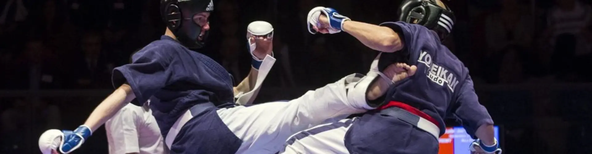 Combat de yoseikan budo